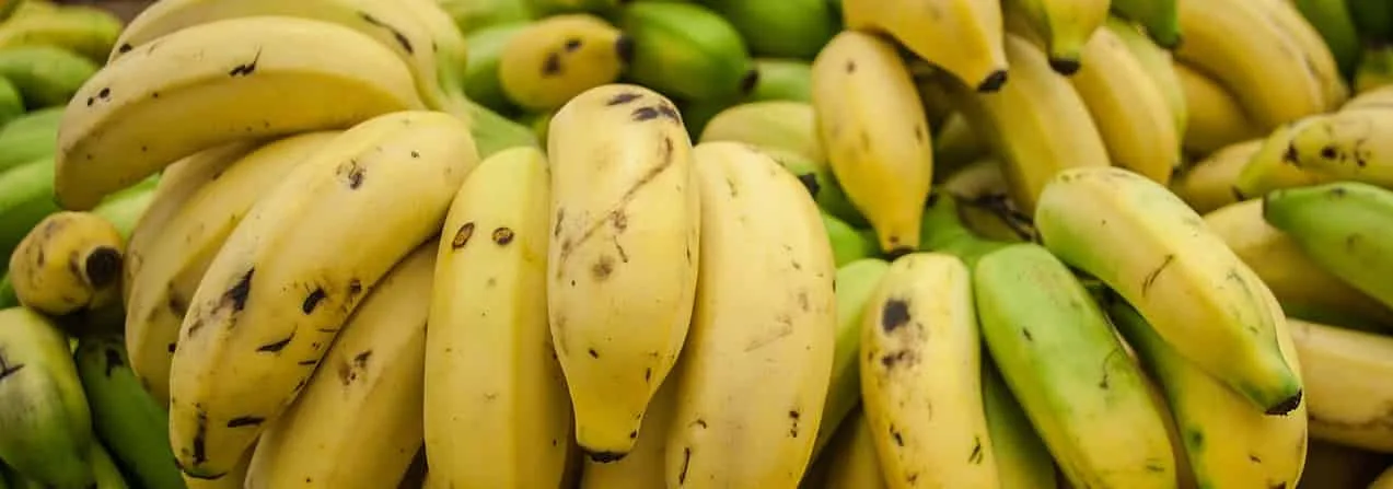 10 Khasiat dan Manfaat Pisang Yang Baik Untuk Kesehatan