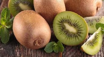 10 Khasiat Buah Kiwi Untuk Kesehatan