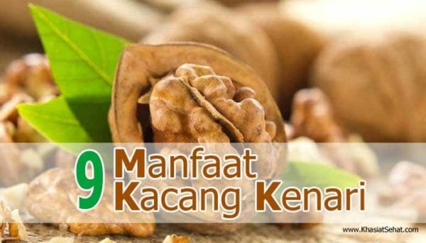 9 Manfaat Kacang Kenari Untuk Kesehatan - Khasiat Sehat