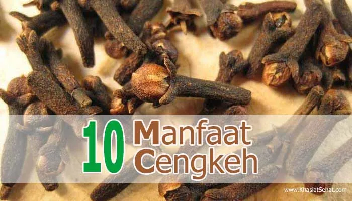 10 Manfaat Cengkeh untuk Kesehatan & Efek Sampingnya - Khasiat Sehat