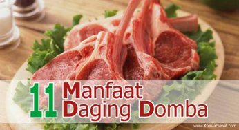 11 Khasiat Daging Domba untuk Kesehatan