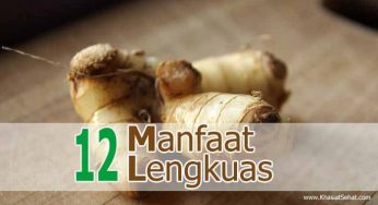 12 Khasiat Lengkuas untuk Kesehatan