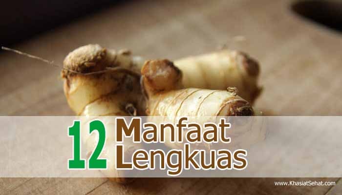 12 Manfaat Lengkuas Untuk Kesehatan Khasiat Sehat