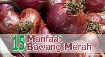 15 Khasiat Bawang Merah untuk Kesehatan