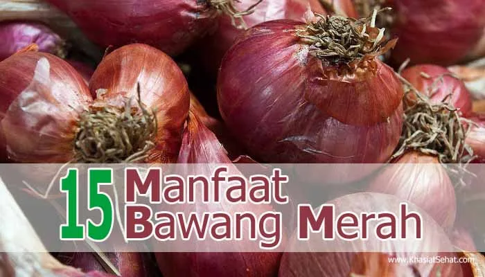 15 Manfaat Bawang Merah untuk Kesehatan - Khasiat Sehat