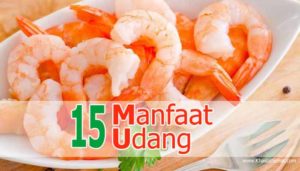 15 Manfaat Udang Untuk Kesehatan - Khasiat Sehat