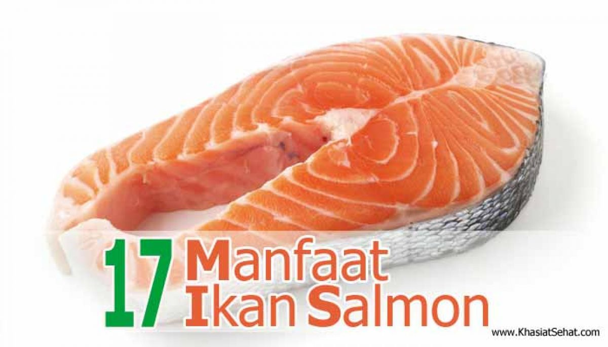 17 Manfaat Ikan Salmon Untuk Kesehatan Khasiat Sehat