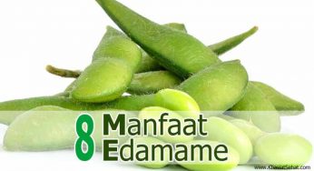 8 Khasiat Kacang Edamame untuk Kesehatan