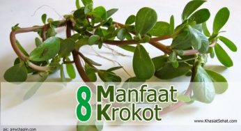 8 Manfaat Krokot untuk Kesehatan