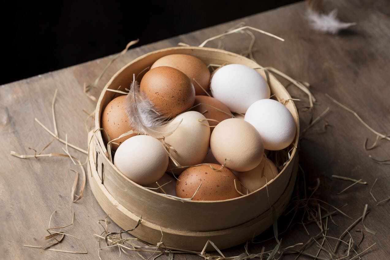 manfaat telur ayam untuk kesehatan