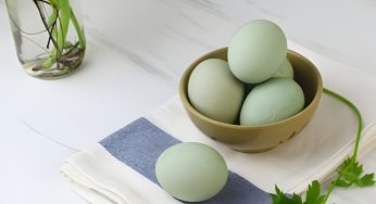 8 Manfaat Telur Bebek untuk Kesehatan dan Efek Sampingnya